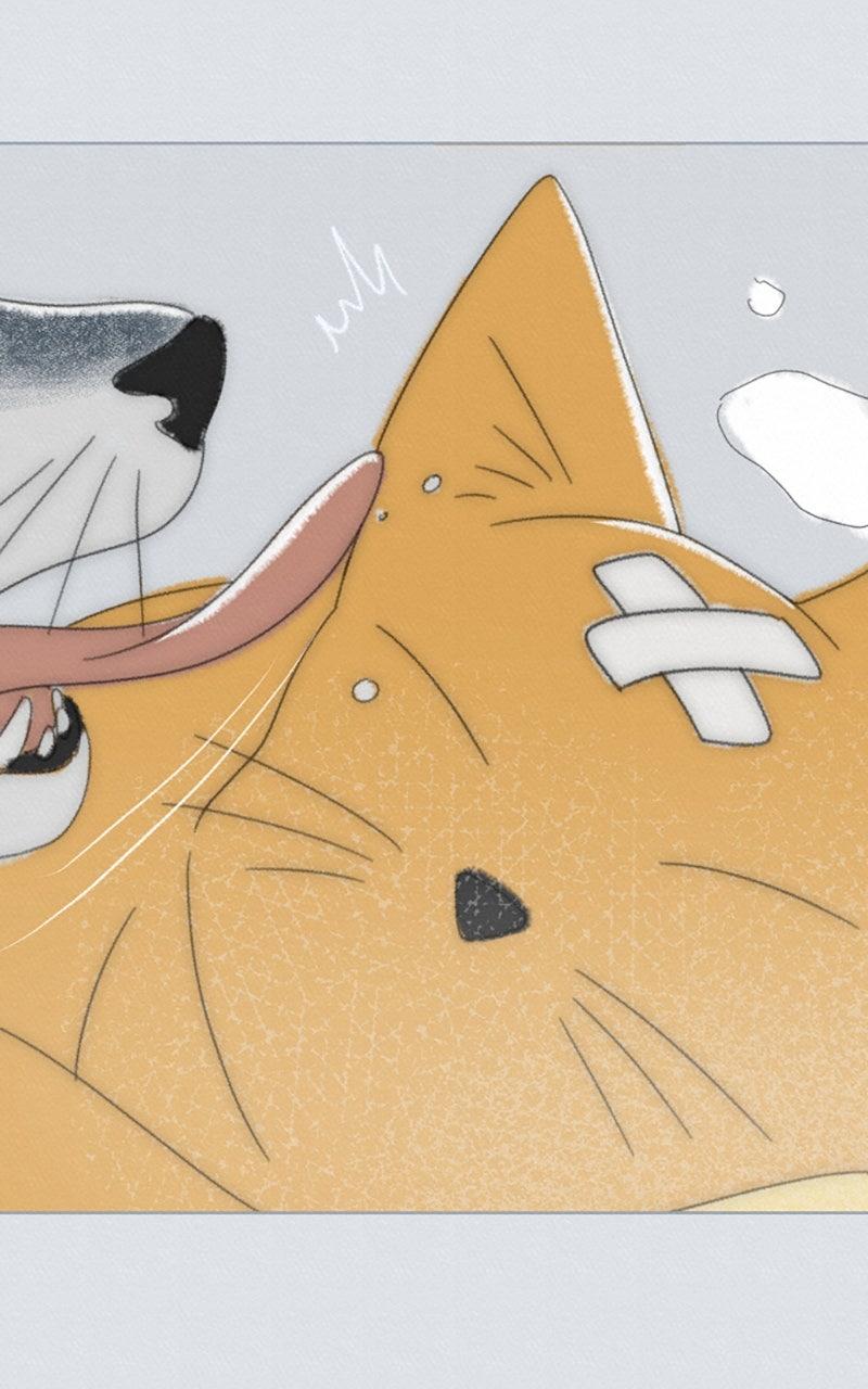 The Students of Illip Arts High Chap 80 - Next Chap 81