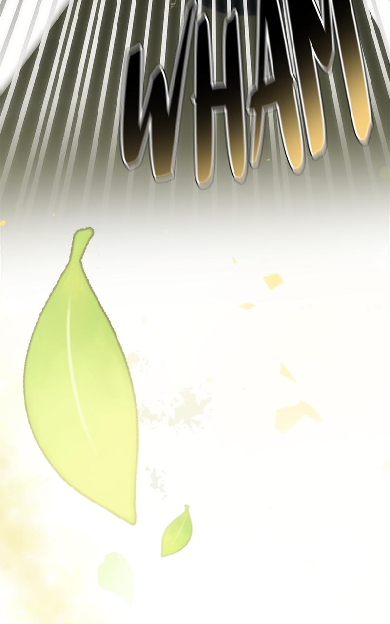 Her Tiny Highness, the Mastermind Chap 4 - Next Chap 5