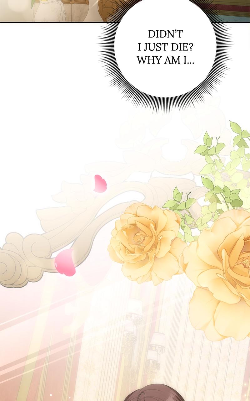 Her Tiny Highness, the Mastermind Chap 1 - Next Chap 2