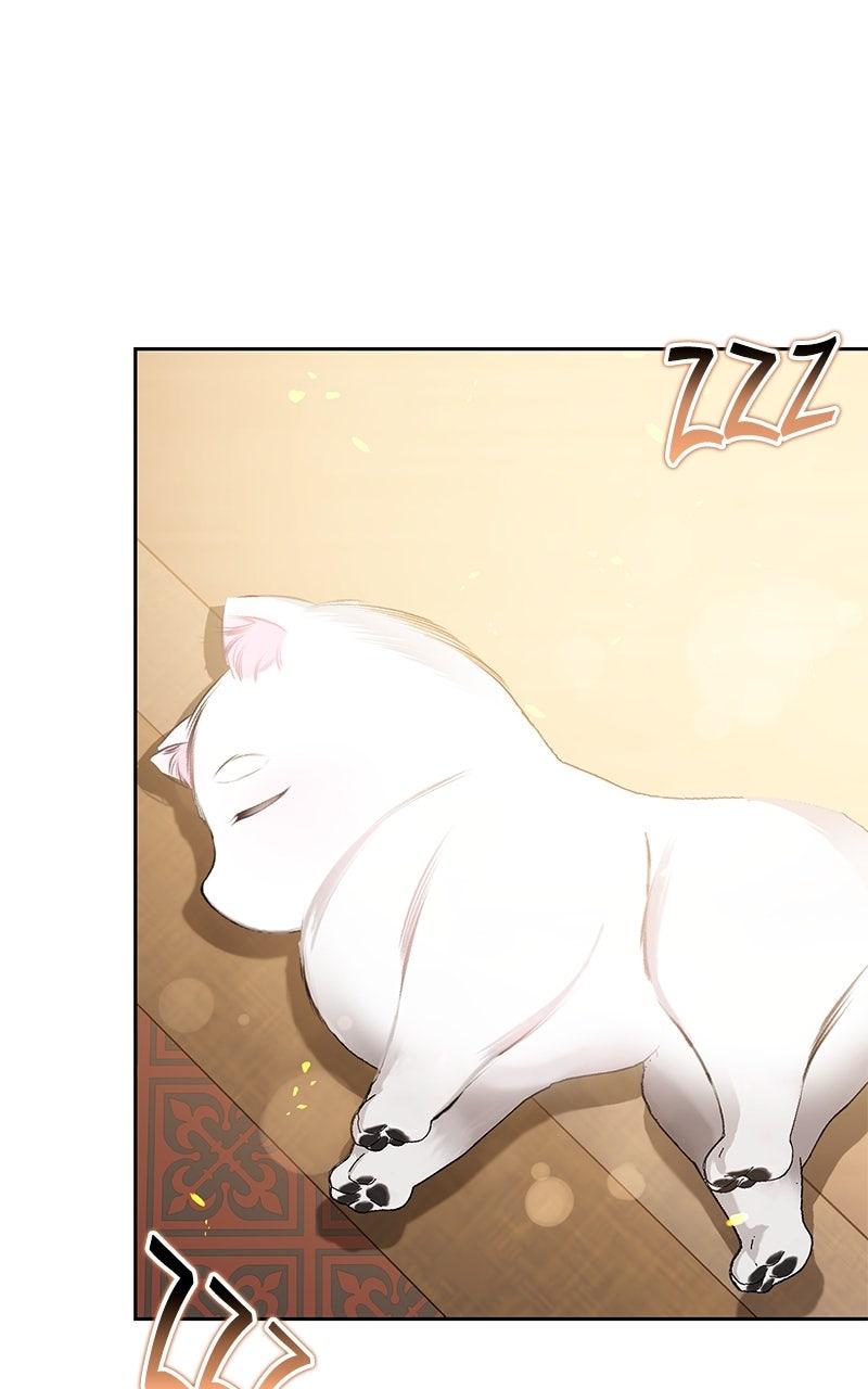 Her Tiny Highness, the Mastermind Chap 27 - Next Chap 28