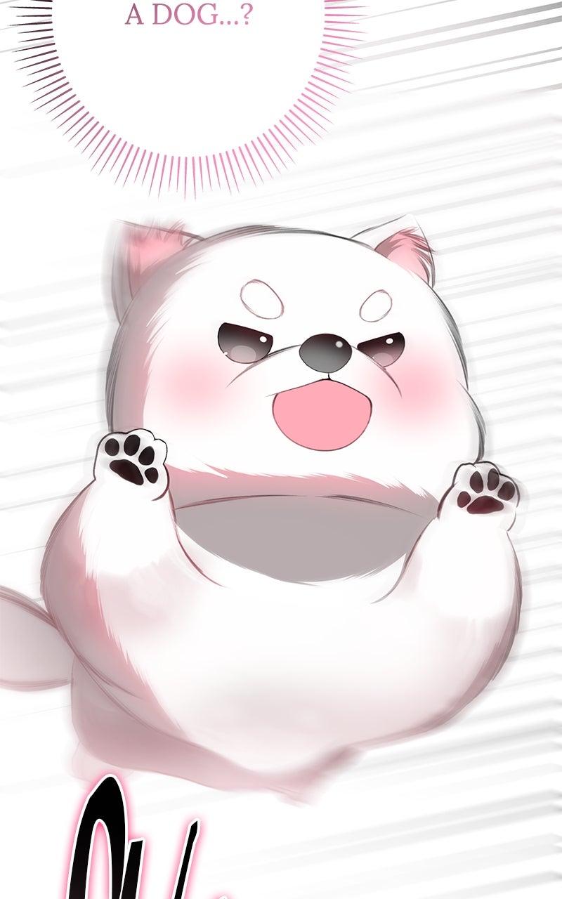 Her Tiny Highness, the Mastermind Chap 26 - Next Chap 27