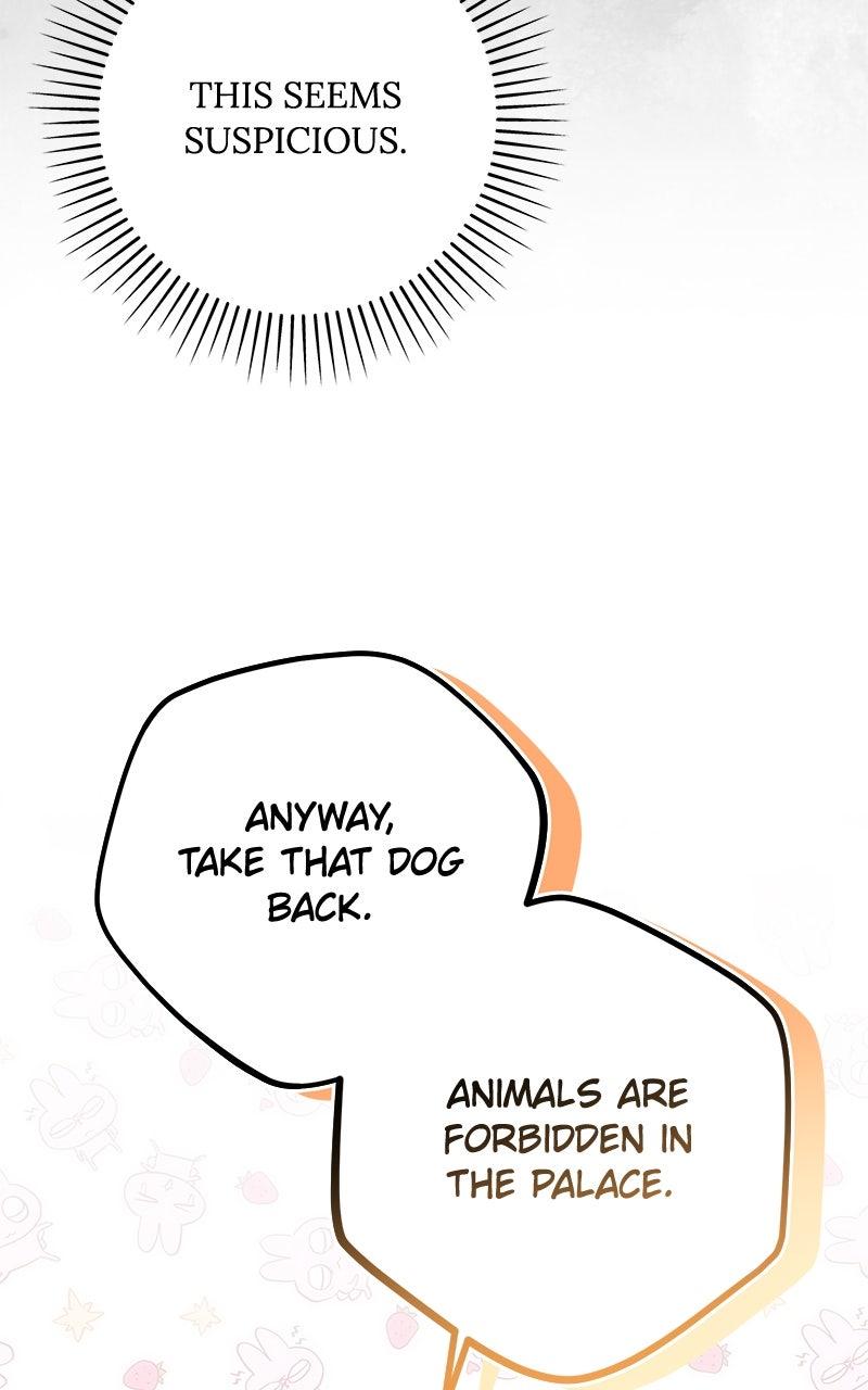 Her Tiny Highness, the Mastermind Chap 26 - Next Chap 27