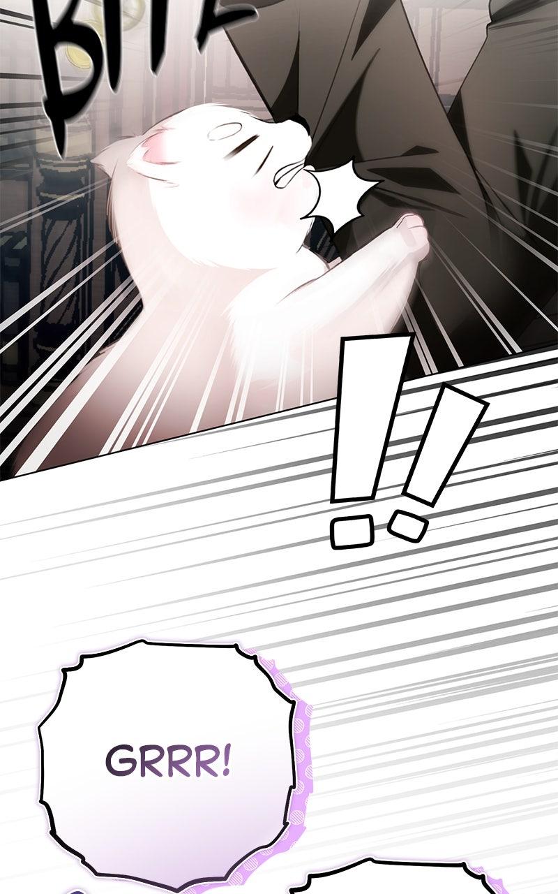 Her Tiny Highness, the Mastermind Chap 26 - Next Chap 27