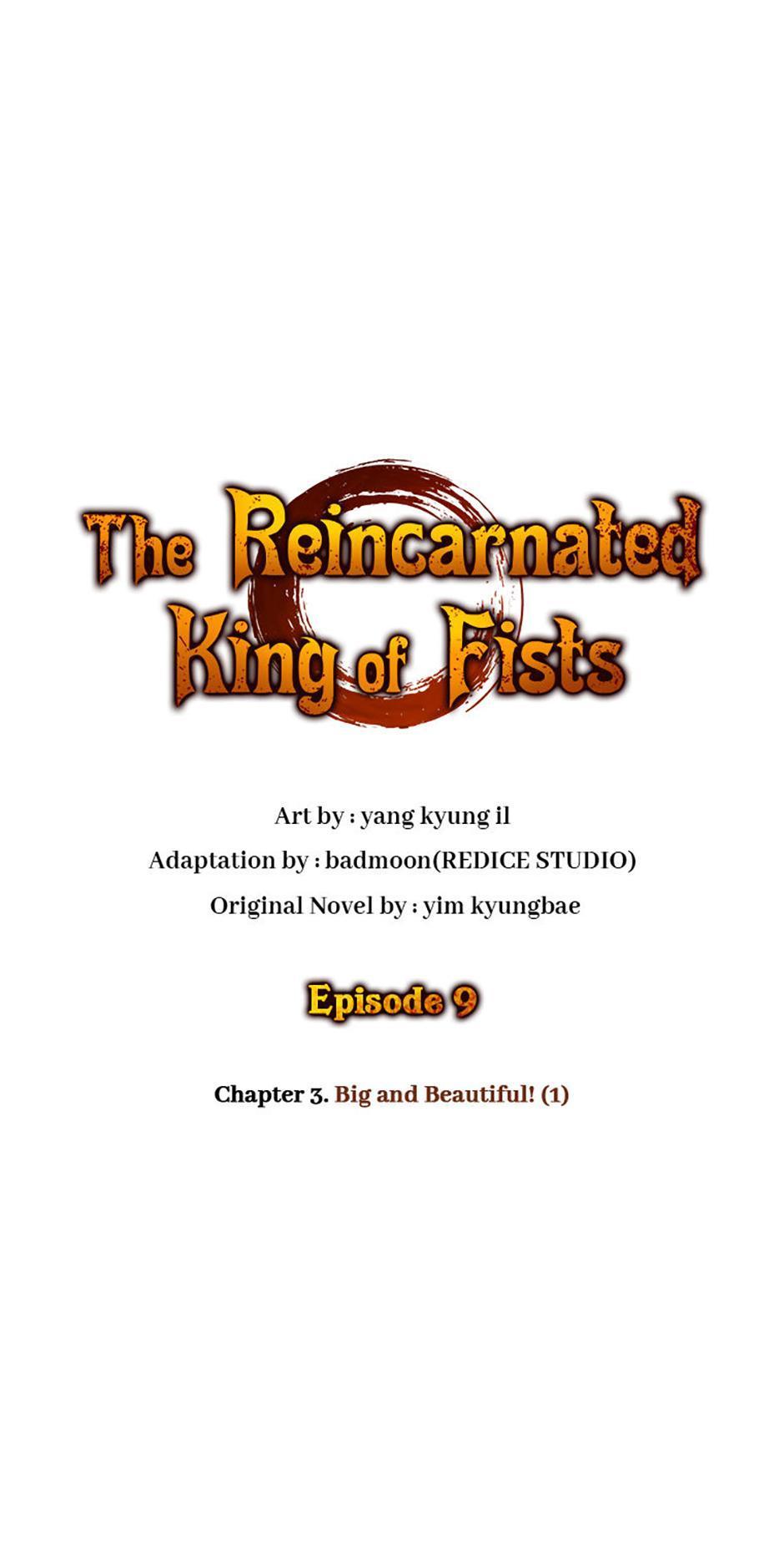 The Reincarnated King of Fists Chap 9 - Next Chap 10