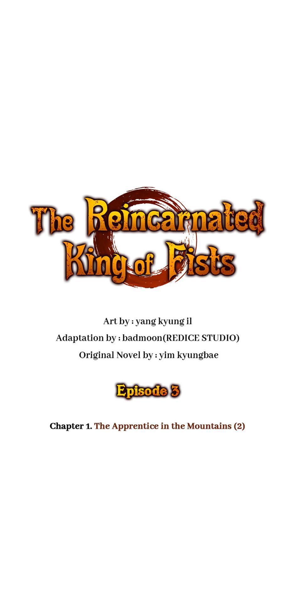 The Reincarnated King of Fists Chap 3 - Next Chap 4
