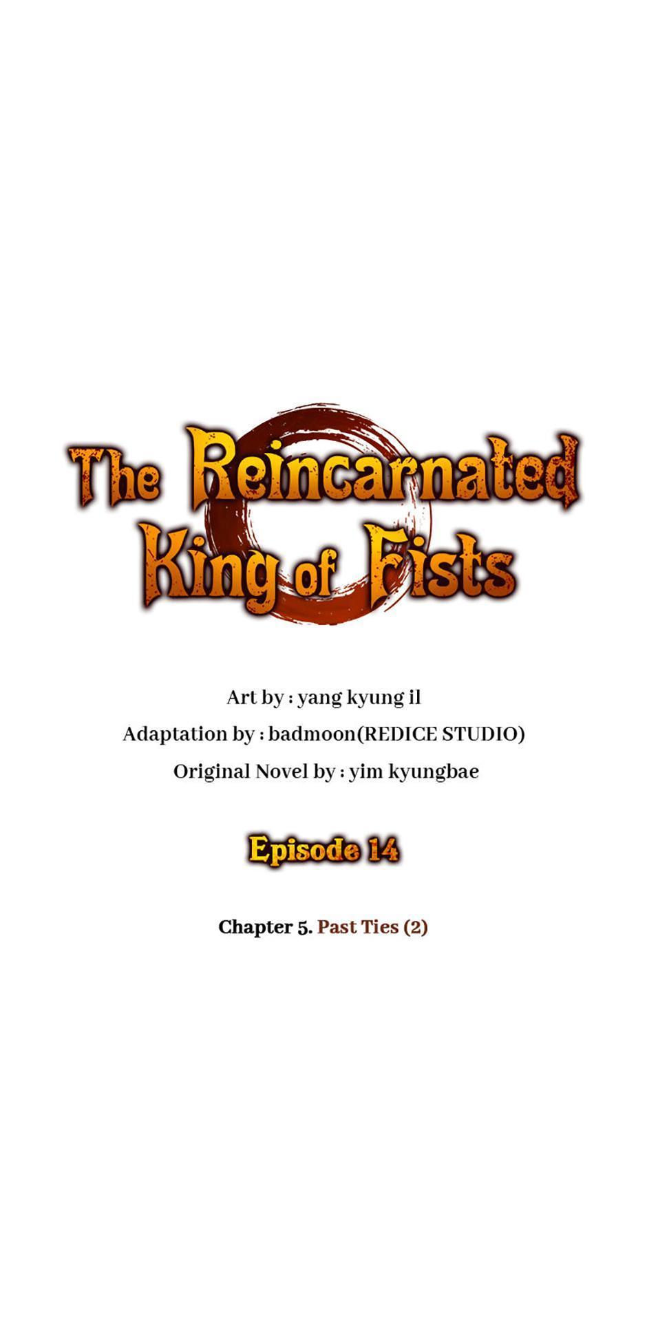 The Reincarnated King of Fists Chap 14 - Next Chap 15
