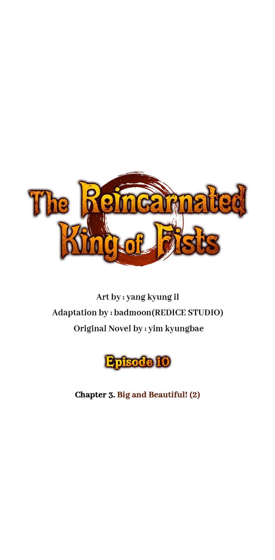 The Reincarnated King of Fists Chap 10 - Next Chap 11