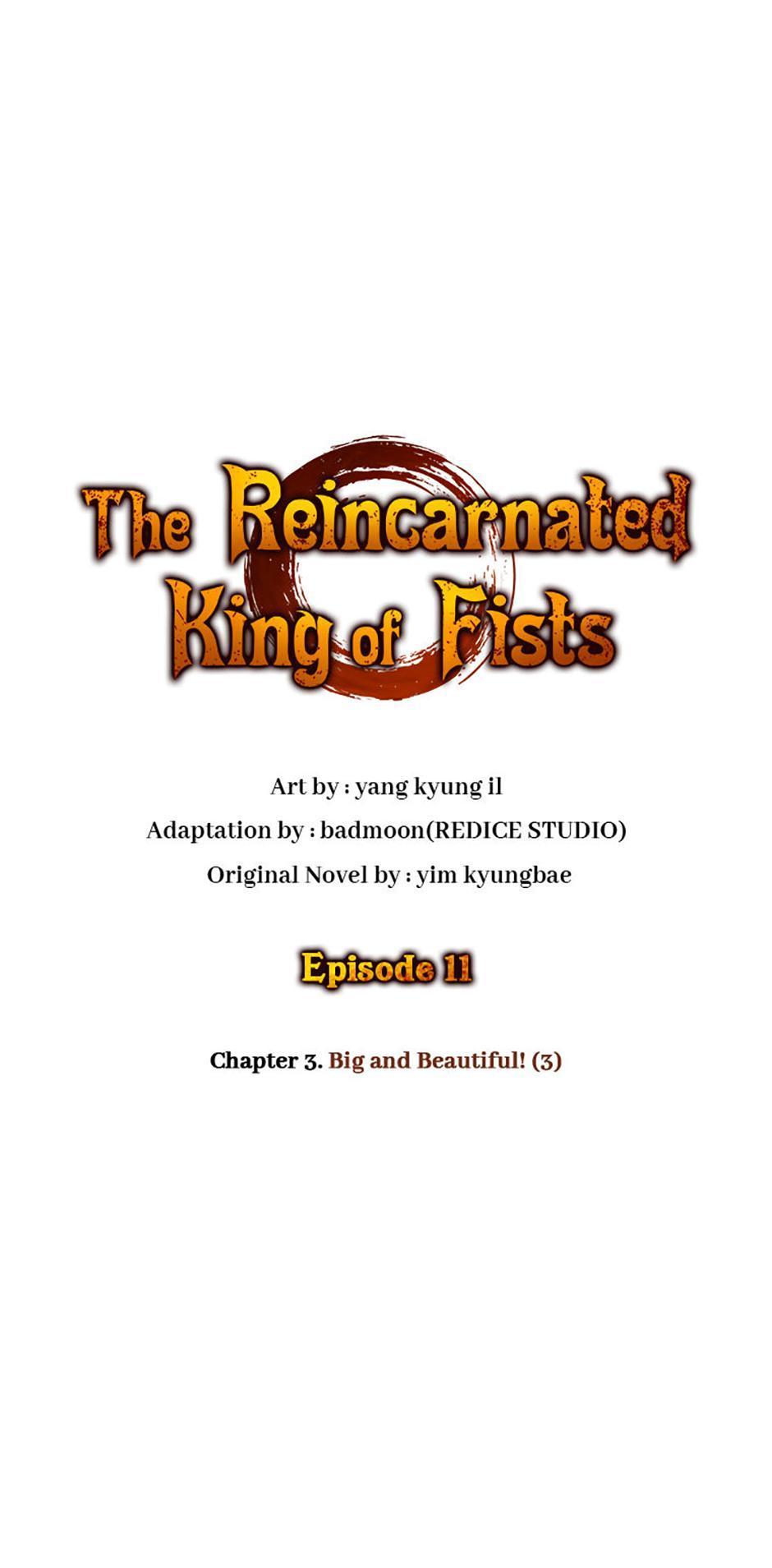 The Reincarnated King of Fists Chap 11 - Next Chap 12