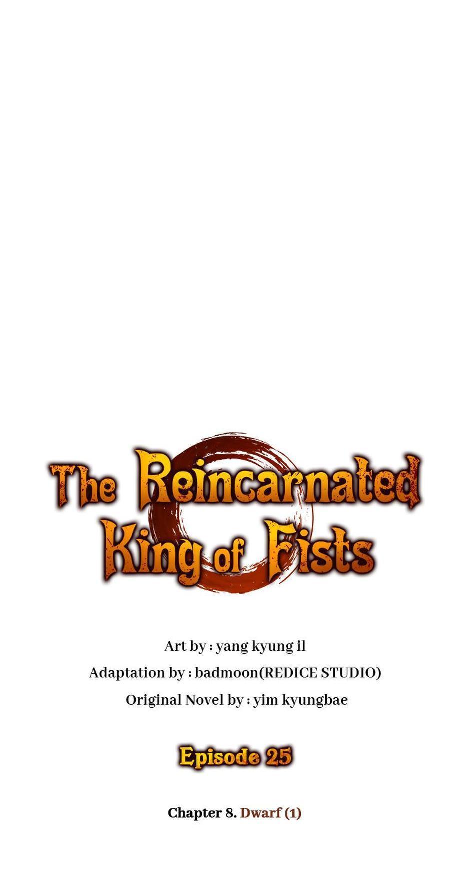 The Reincarnated King of Fists Chap 25 - Next Chap 26