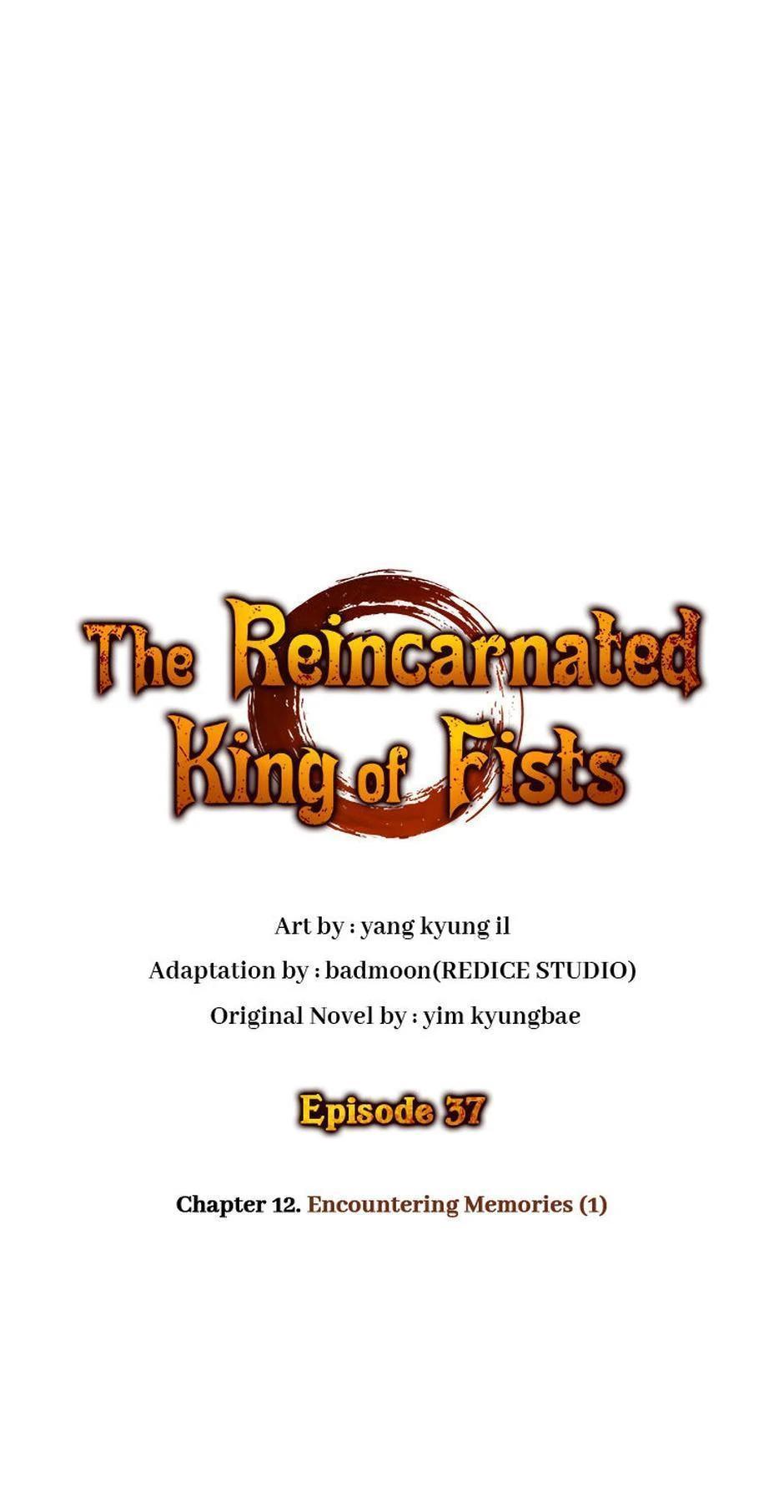 The Reincarnated King of Fists Chap 37 - Next Chap 38