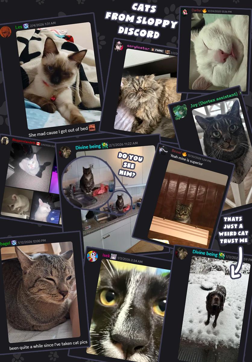 Kimi wa Yotsuba no Clover Chap 67 - Next Chap 68