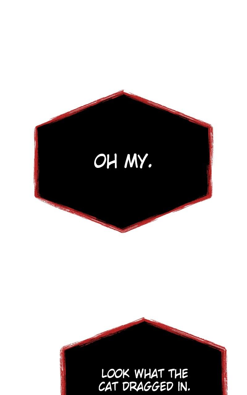 The Constellations Are My Disciples Chap 103 - Next Chap 104