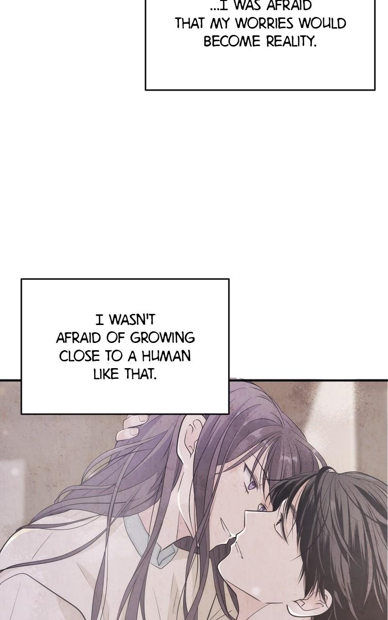 Disaster Is Always By My Side Chap 27 - Next Chap 28
