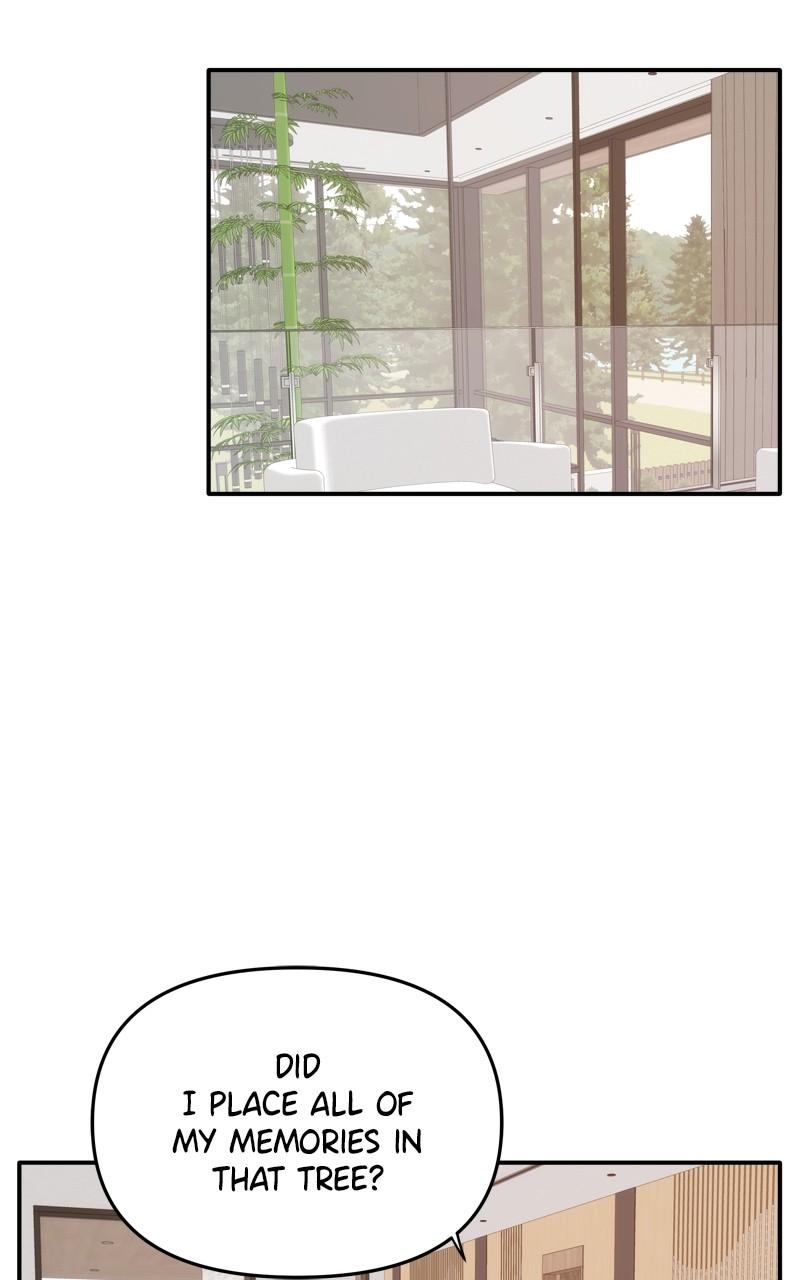 Disaster Is Always By My Side Chap 37 - Next Chap 38