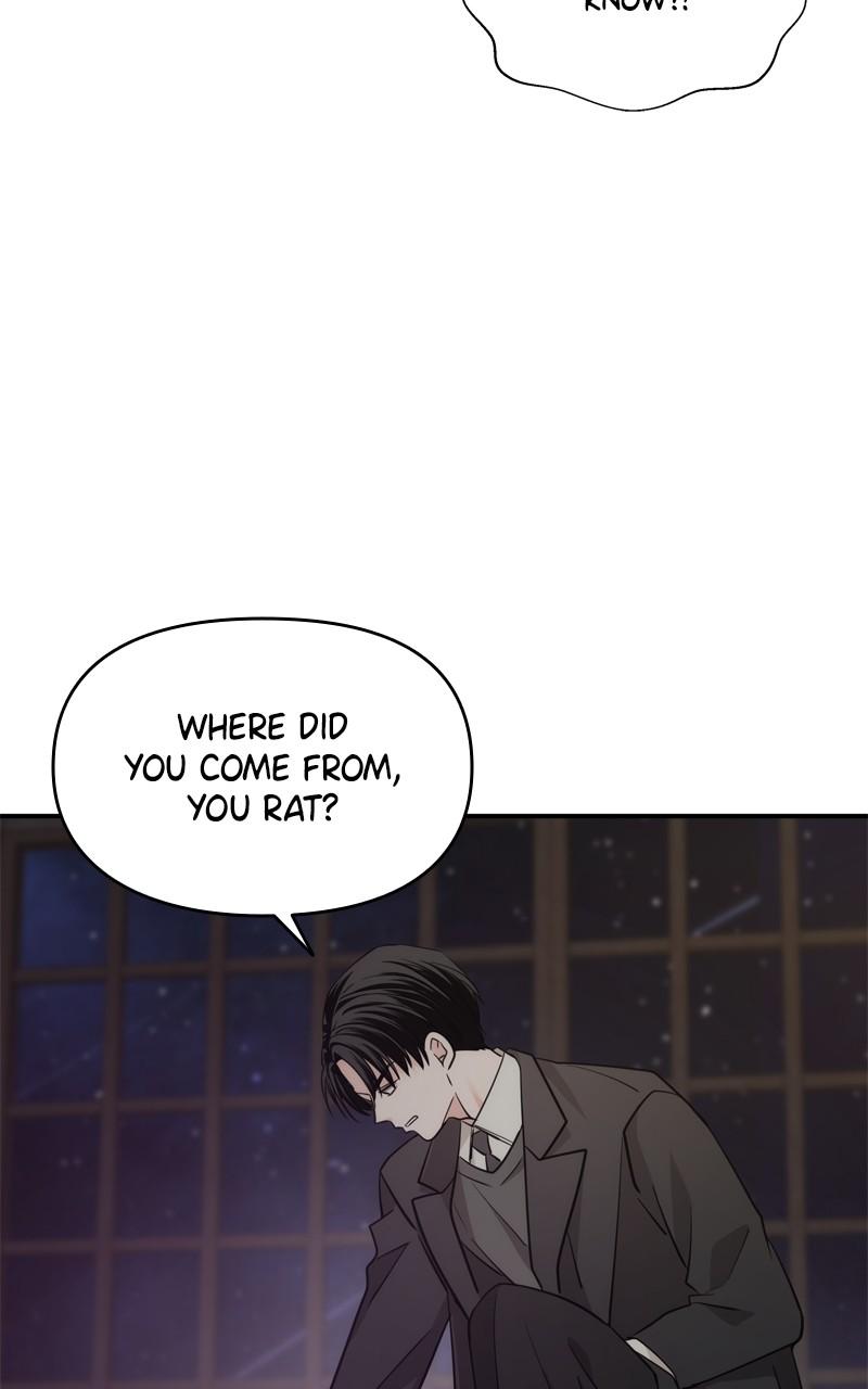 Disaster Is Always By My Side Chap 33 - Next Chap 34