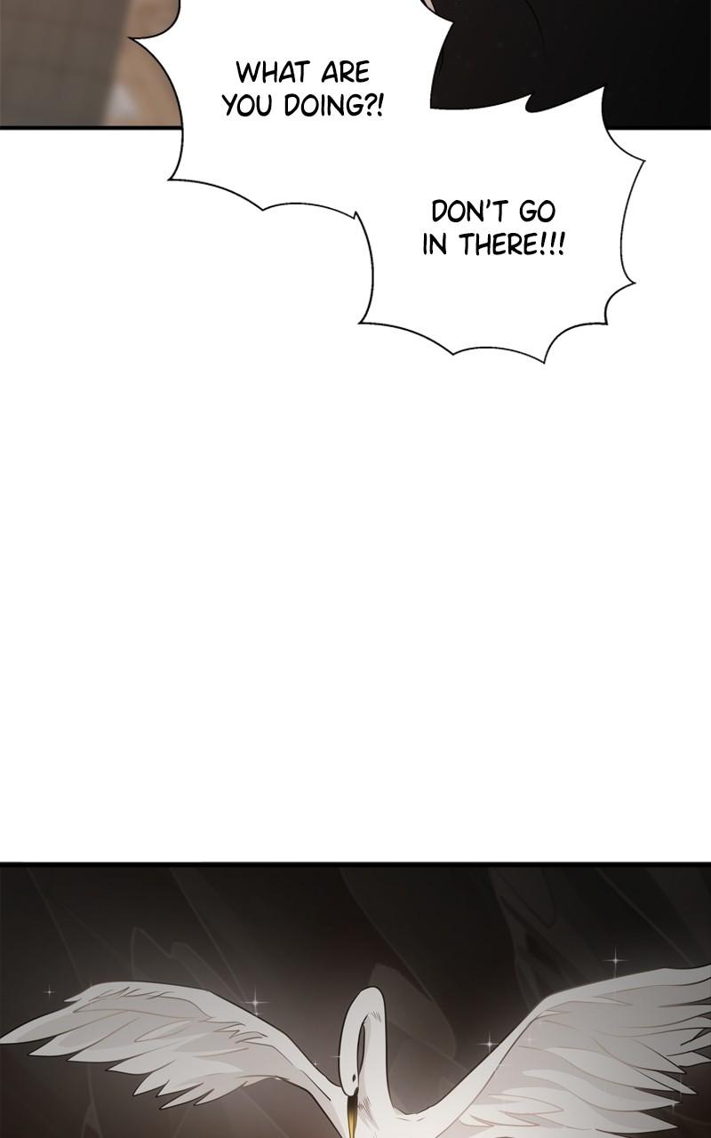 Disaster Is Always By My Side Chap 40 - Next Chap 41