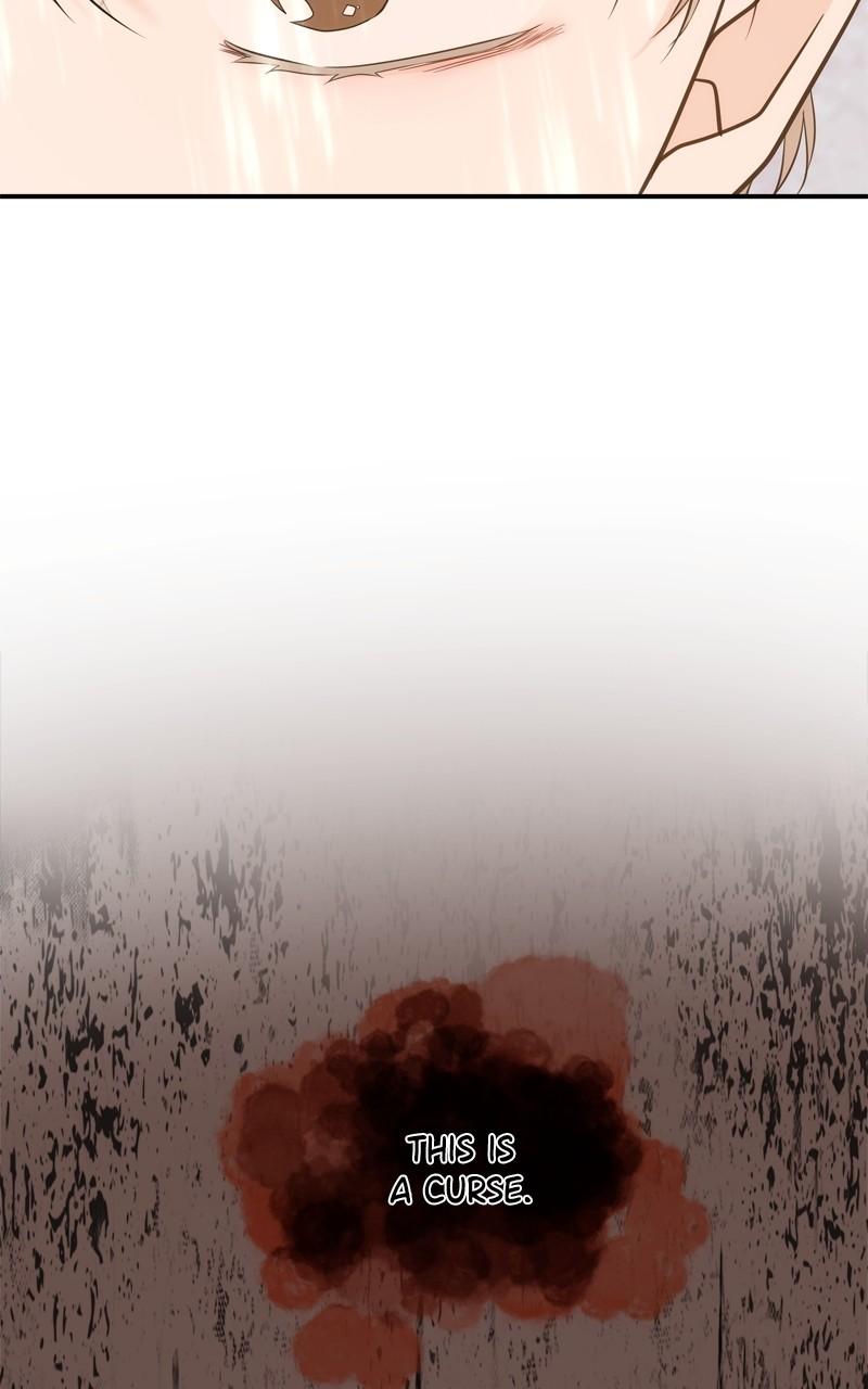 Disaster Is Always By My Side Chap 40 - Next Chap 41