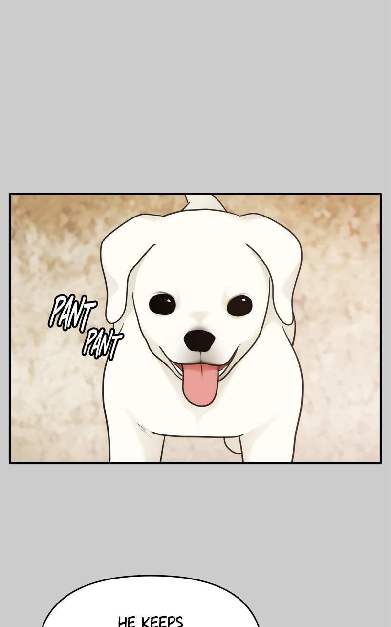 Disaster Is Always By My Side Chap 53 - Next Chap 54