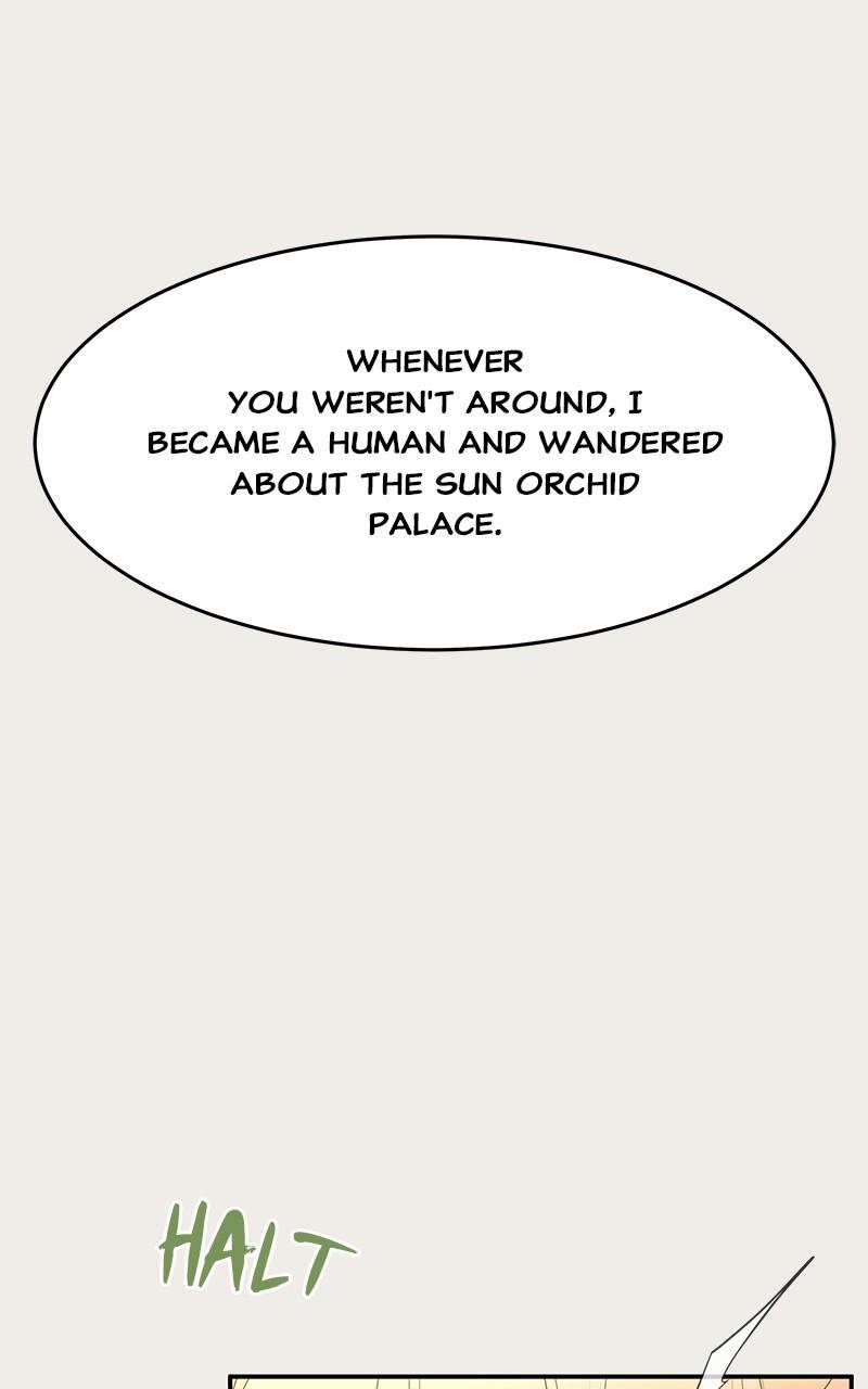 How a Goddess Wins Over Tigers Chap 85 - Next Chap 86