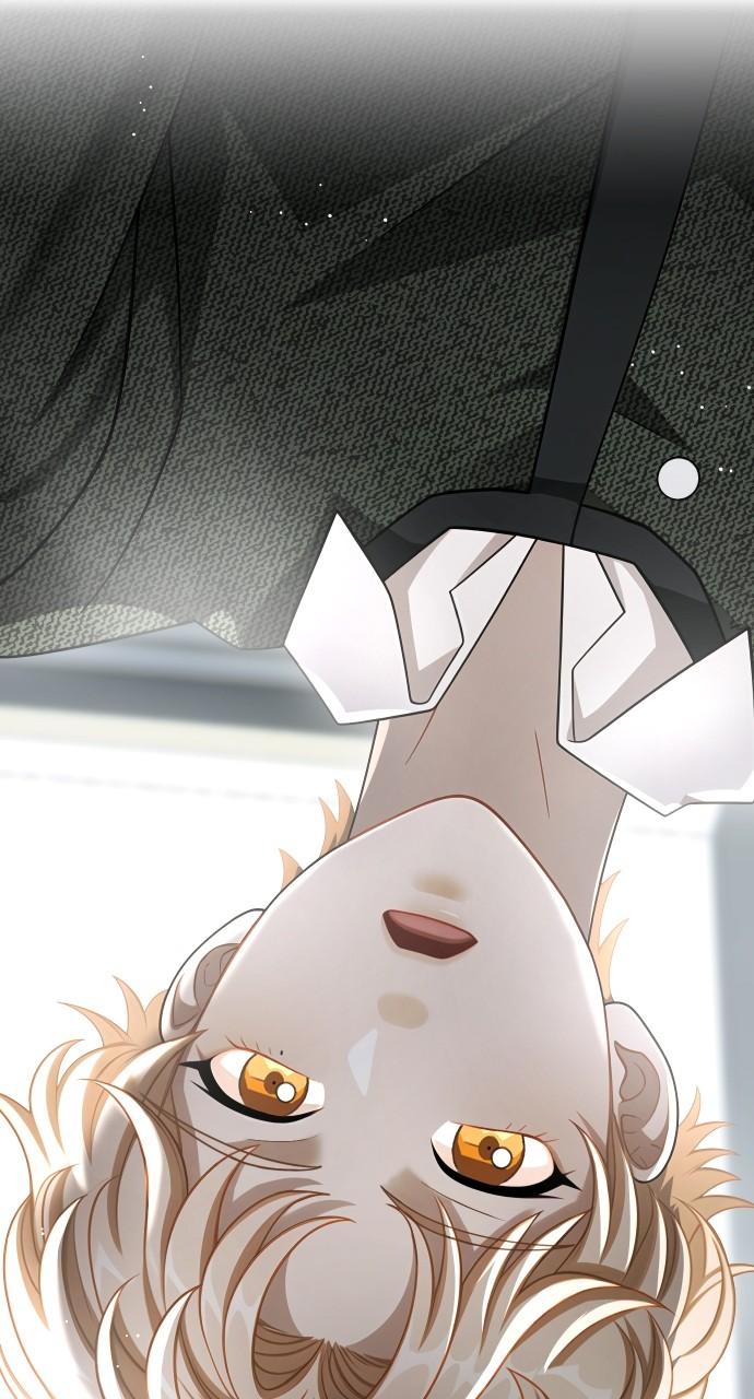 Children of Vamfield by Dark Moon Chap 47 - Next Chap 48