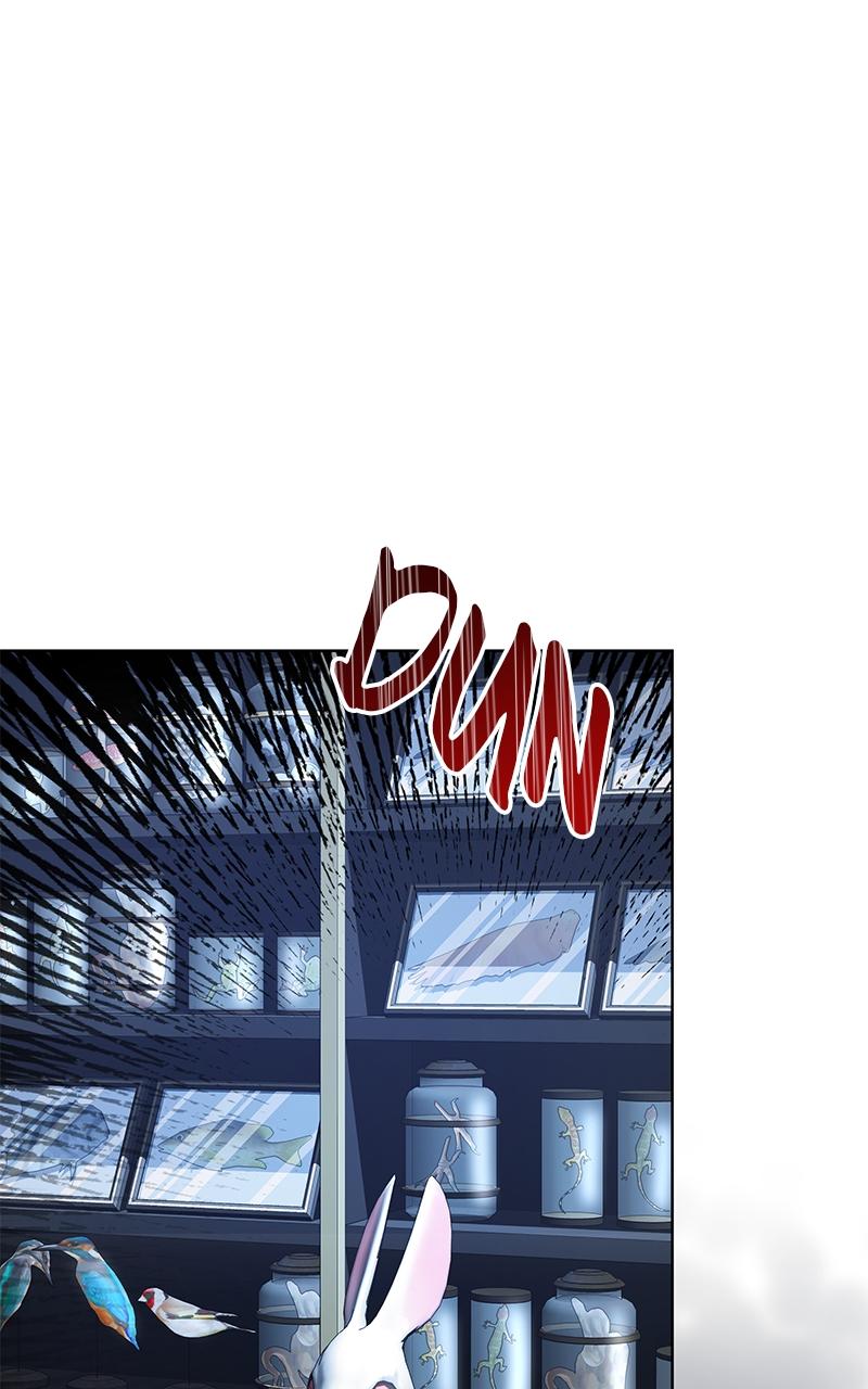 Obsidian Bride Chap 1 - Next Chap 2