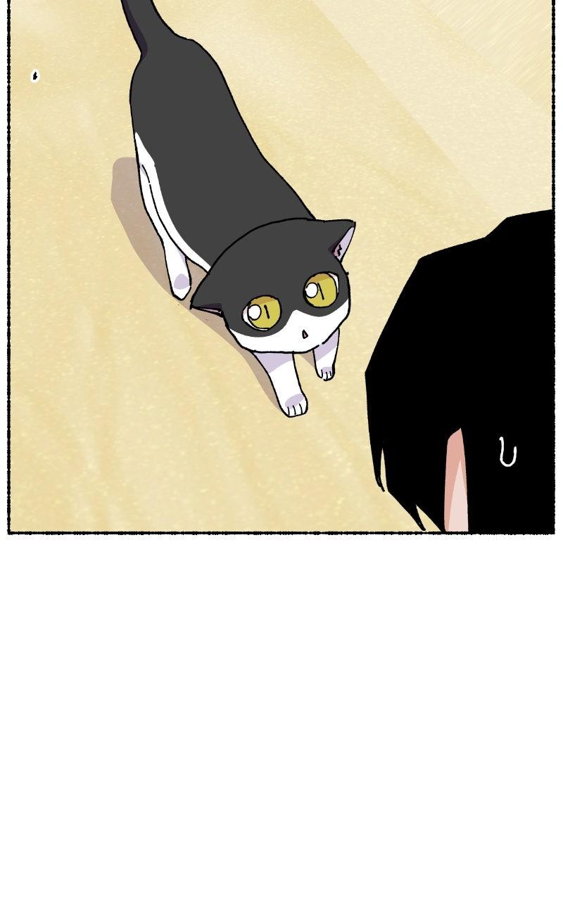 My Little Sister Is the Demon Lord! Chap 106 - Next Chap 107