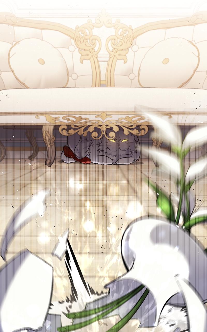 The Regressed Mercenary Has a Plan Chap 13 - Next Chap 14