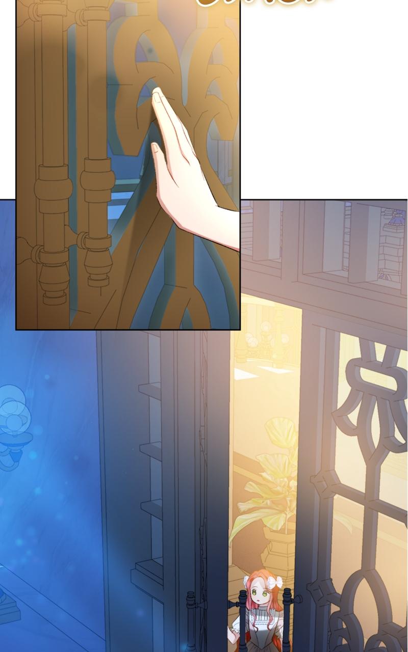 The Knight Becomes a Black Flower Chap 3 - Next Chap 4