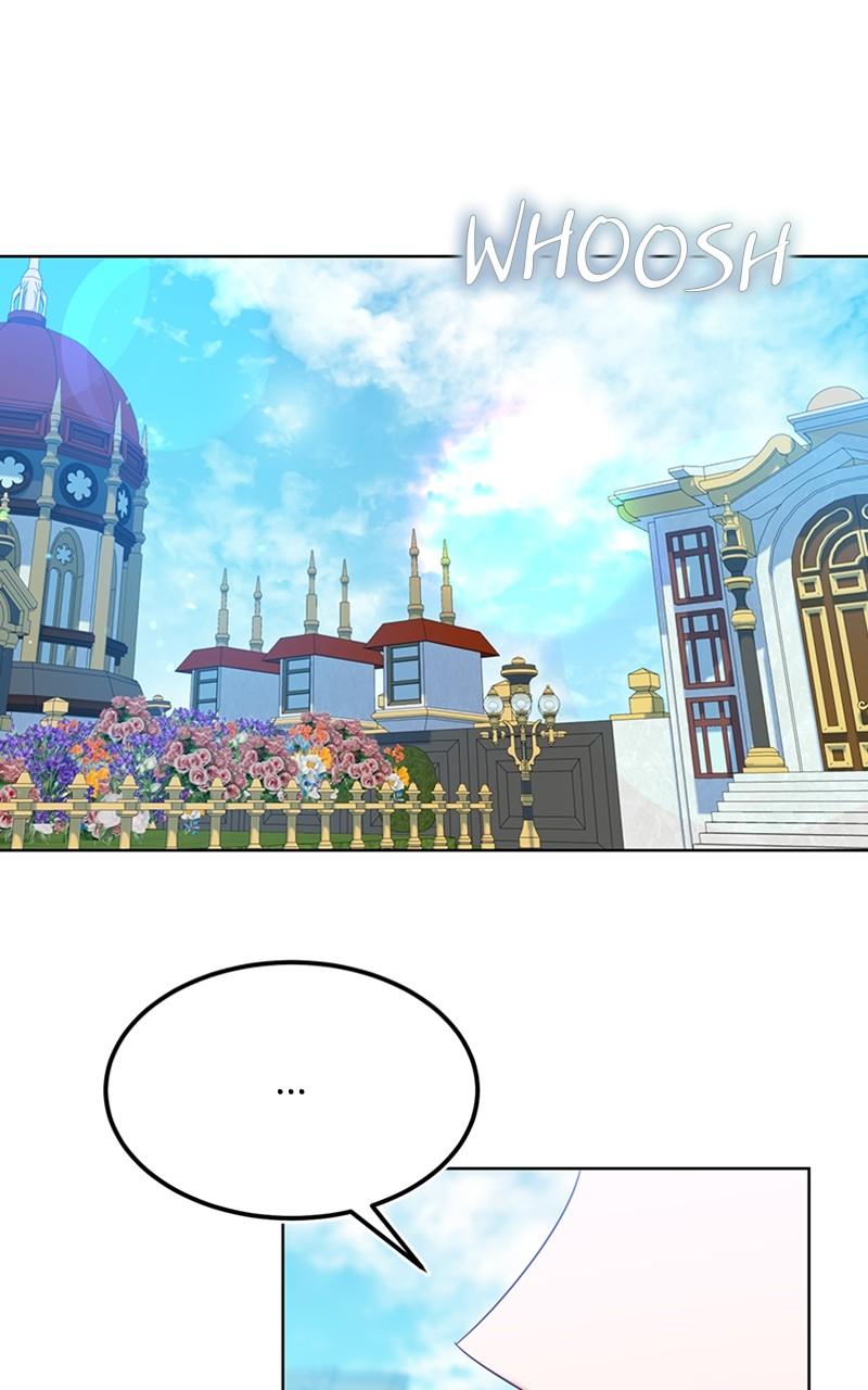 The Knight Becomes a Black Flower Chap 16 - Next Chap 17