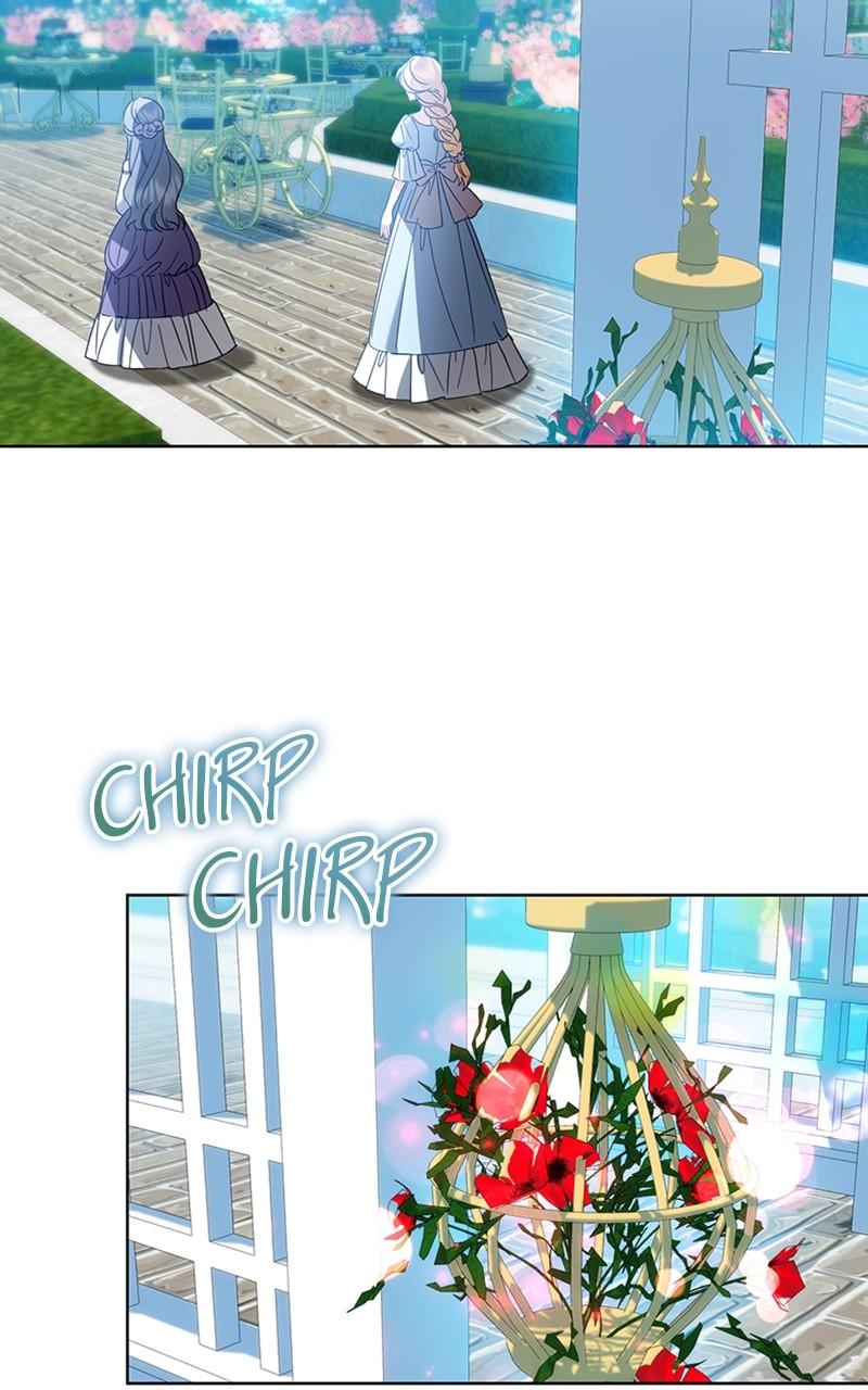 The Knight Becomes a Black Flower Chap 12 - Next Chap 13