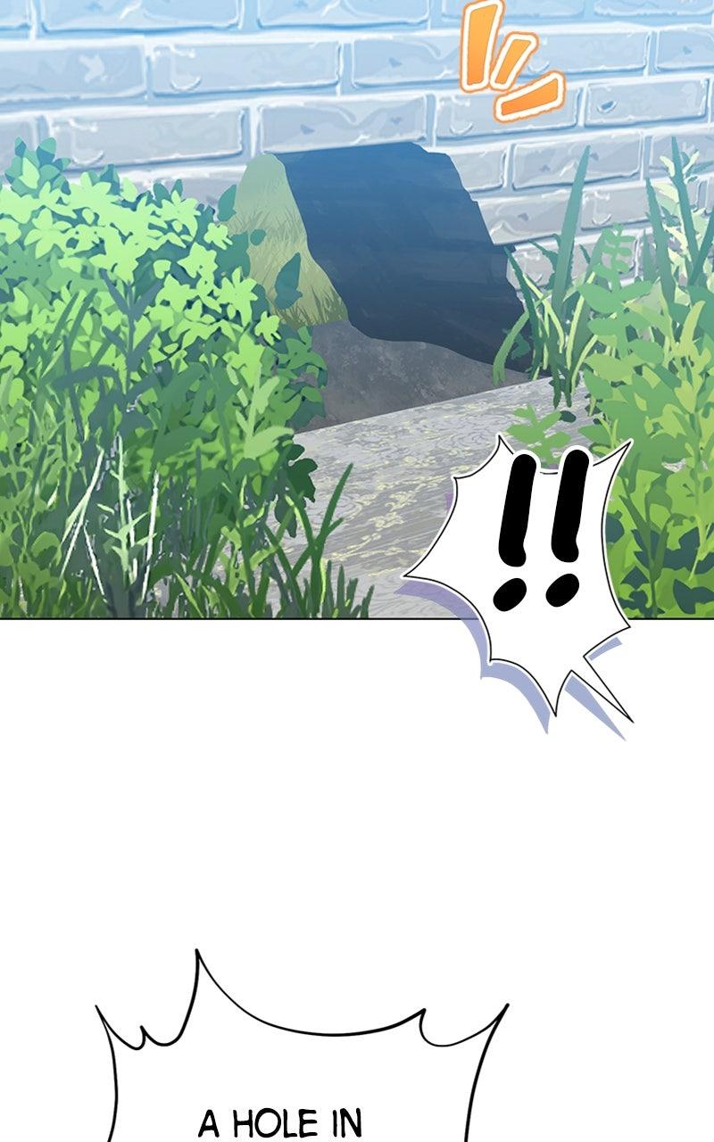 The Knight Becomes a Black Flower Chap 27 - Next Chap 28