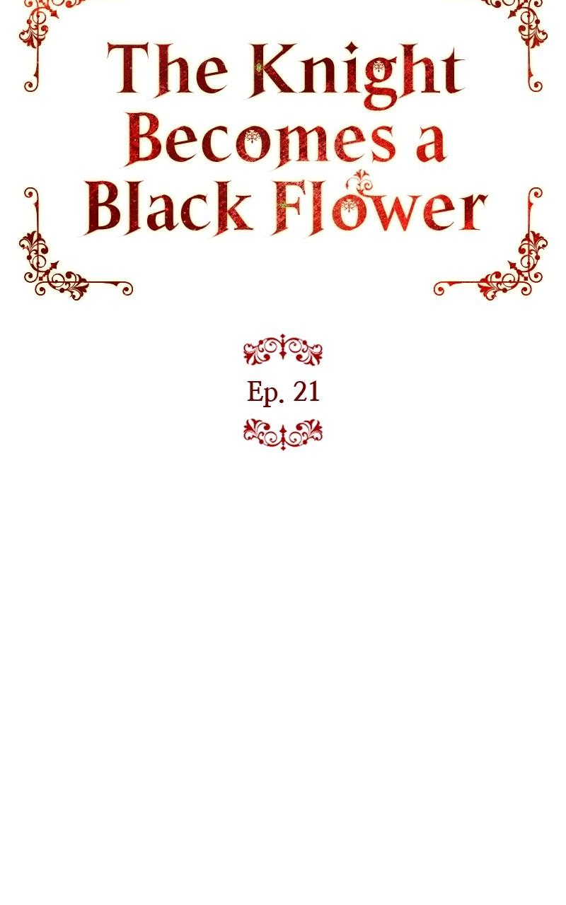 The Knight Becomes a Black Flower Chap 21 - Next Chap 22