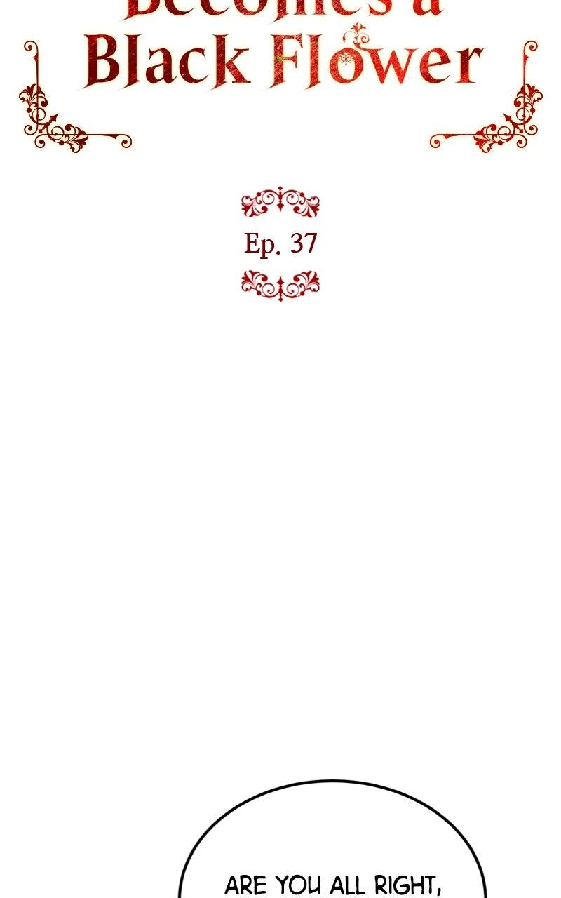 The Knight Becomes a Black Flower Chap 37 - Next Chap 38