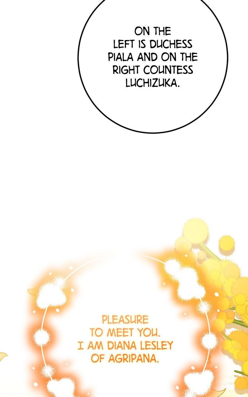 The Knight Becomes a Black Flower Chap 46 - Next Chap 47