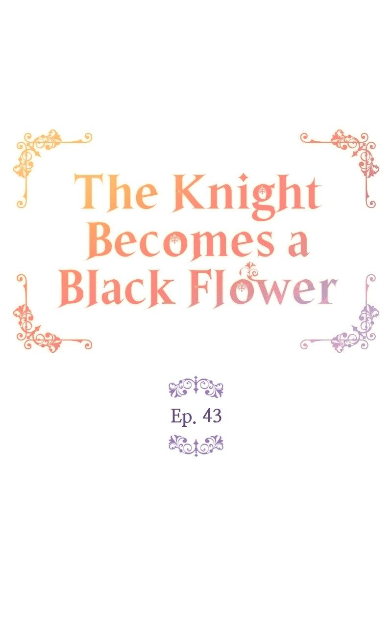 The Knight Becomes a Black Flower Chap 43 - Next Chap 44