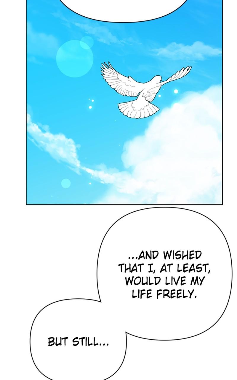 The Academy Is Doomed Chap 16 - Next Chap 17