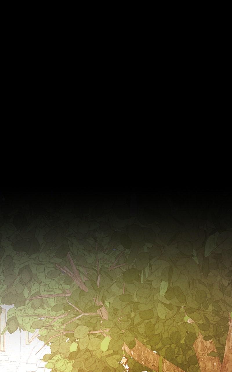 The Academy Is Doomed Chap 52 - Next Chap 53