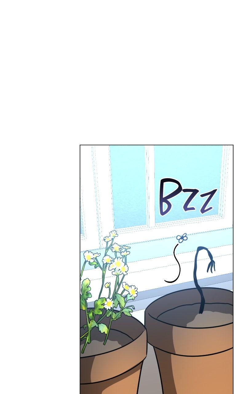 The Academy Is Doomed Chap 61 - Next Chap 62