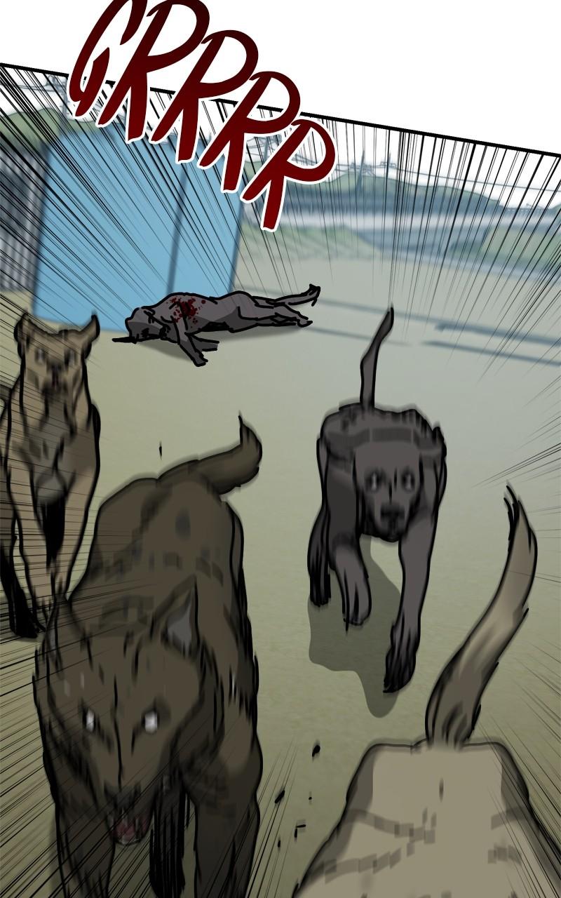 Hiding Out in an Apocalypse Chap 42 - Next Chap 43