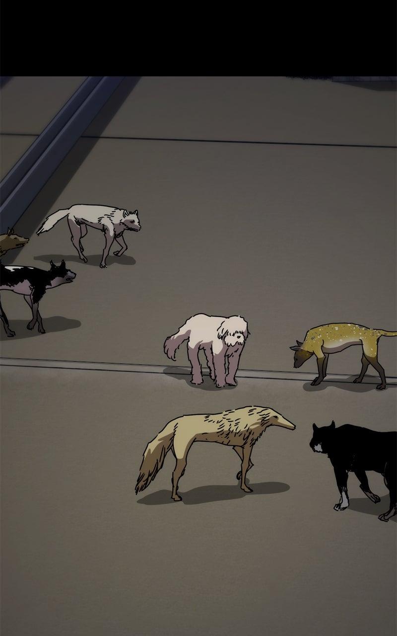 Hiding Out in an Apocalypse Chap 59 - Next Chap 60