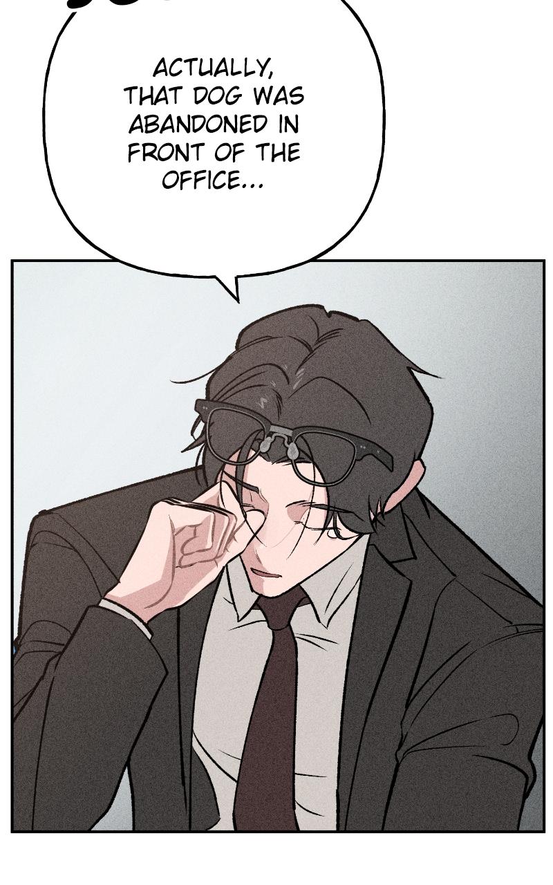 Devilish Son-In-Law Chap 7 - Next Chap 8