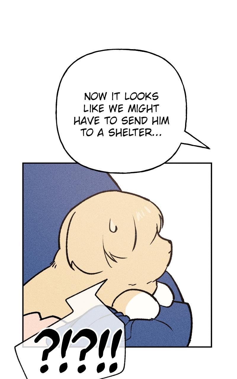 Devilish Son-In-Law Chap 7 - Next Chap 8