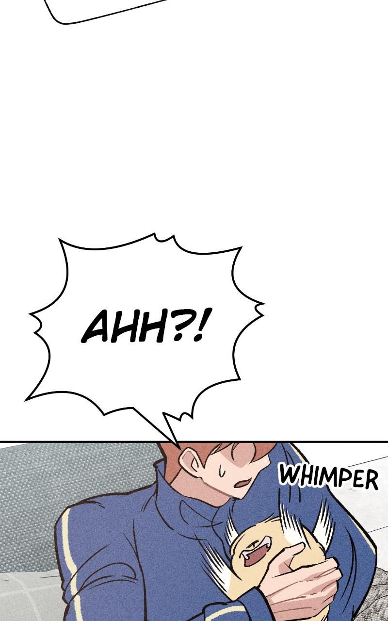 Devilish Son-In-Law Chap 7 - Next Chap 8