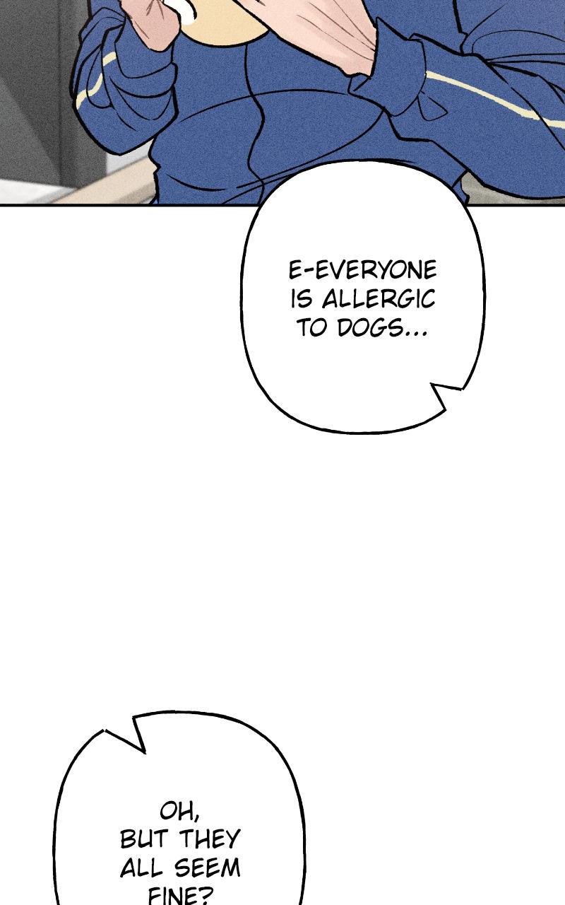 Devilish Son-In-Law Chap 7 - Next Chap 8