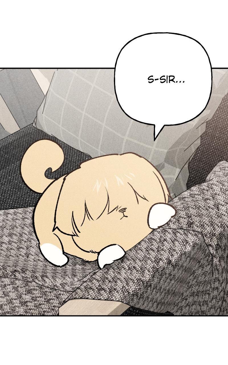 Devilish Son-In-Law Chap 7 - Next Chap 8