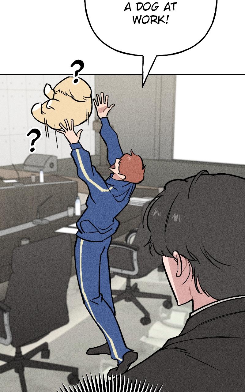 Devilish Son-In-Law Chap 7 - Next Chap 8