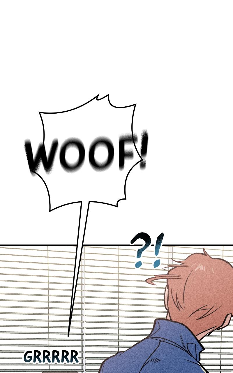 Devilish Son-In-Law Chap 7 - Next Chap 8