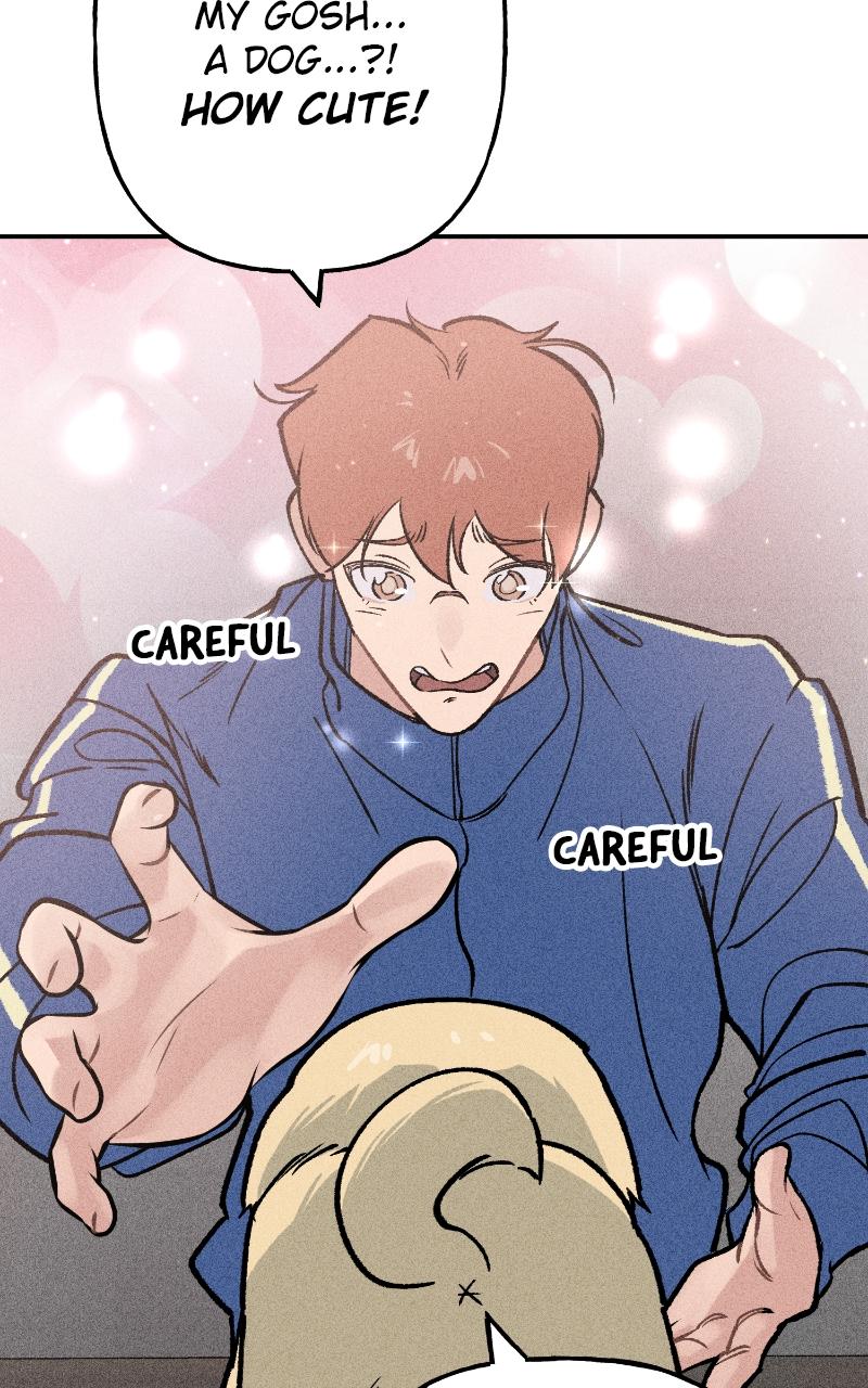 Devilish Son-In-Law Chap 7 - Next Chap 8