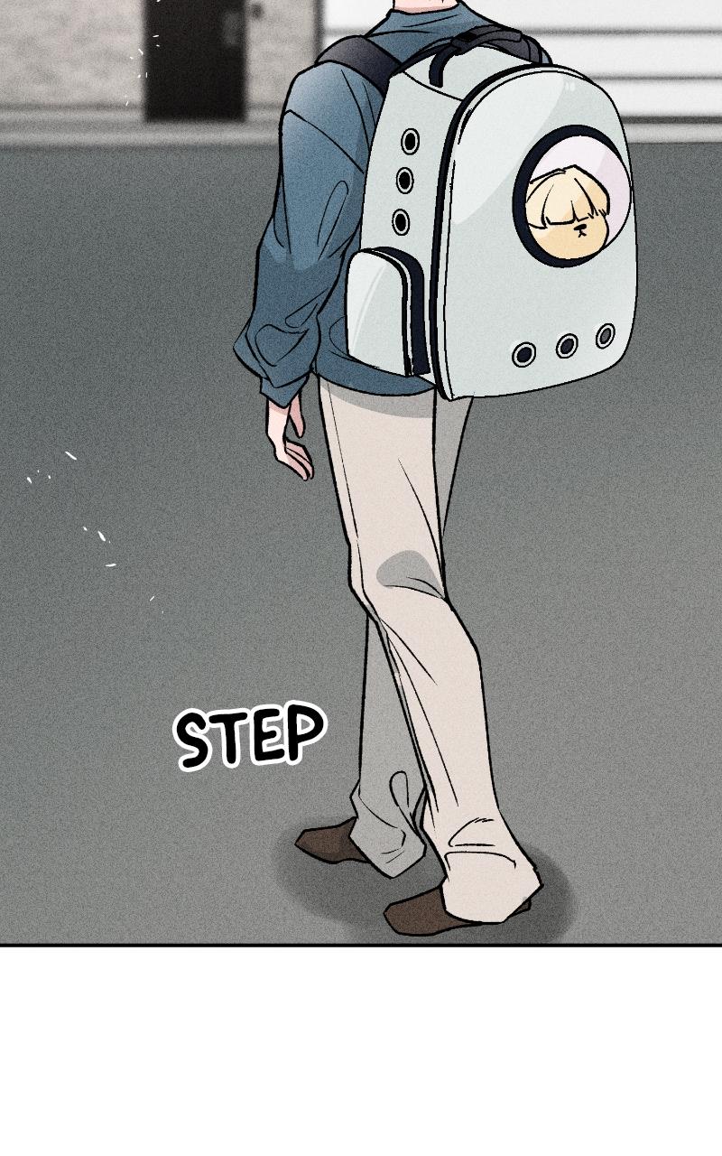 Devilish Son-In-Law Chap 6 - Next Chap 7