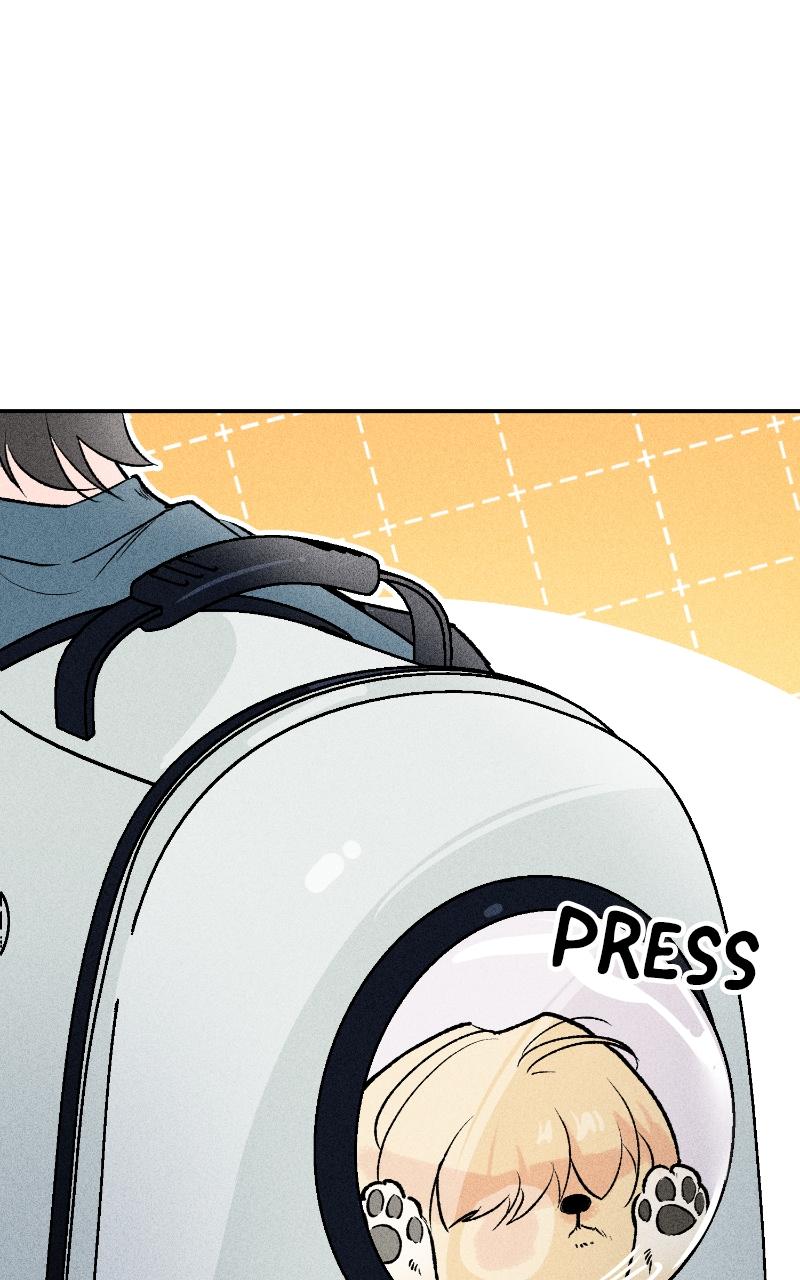 Devilish Son-In-Law Chap 6 - Next Chap 7